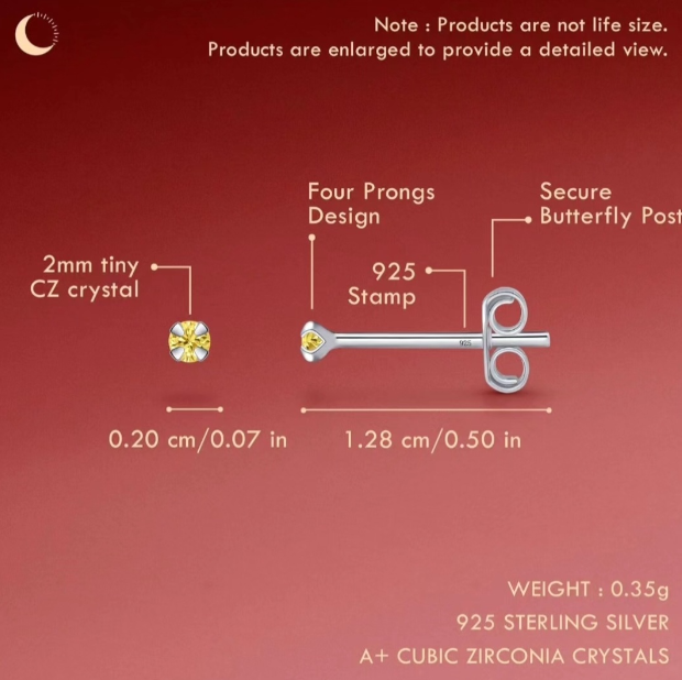 Sterling Silver Piercing Earrings 2 mm