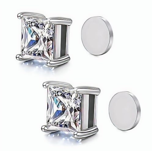 Stainless Steel Magnetic Stud Earrings