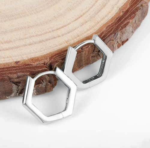Titanium Hoop Earrings 2 mm