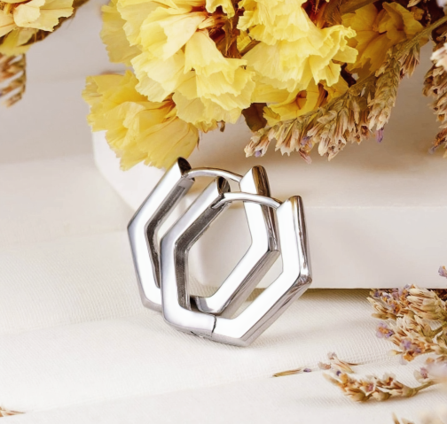 Titanium Hoop Earrings 2 mm